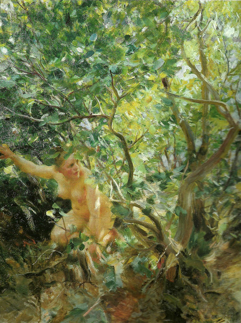 Anders Zorn skramd